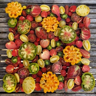 AA Dein Tomatensorten Mix