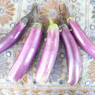 Aubergine Melanzani